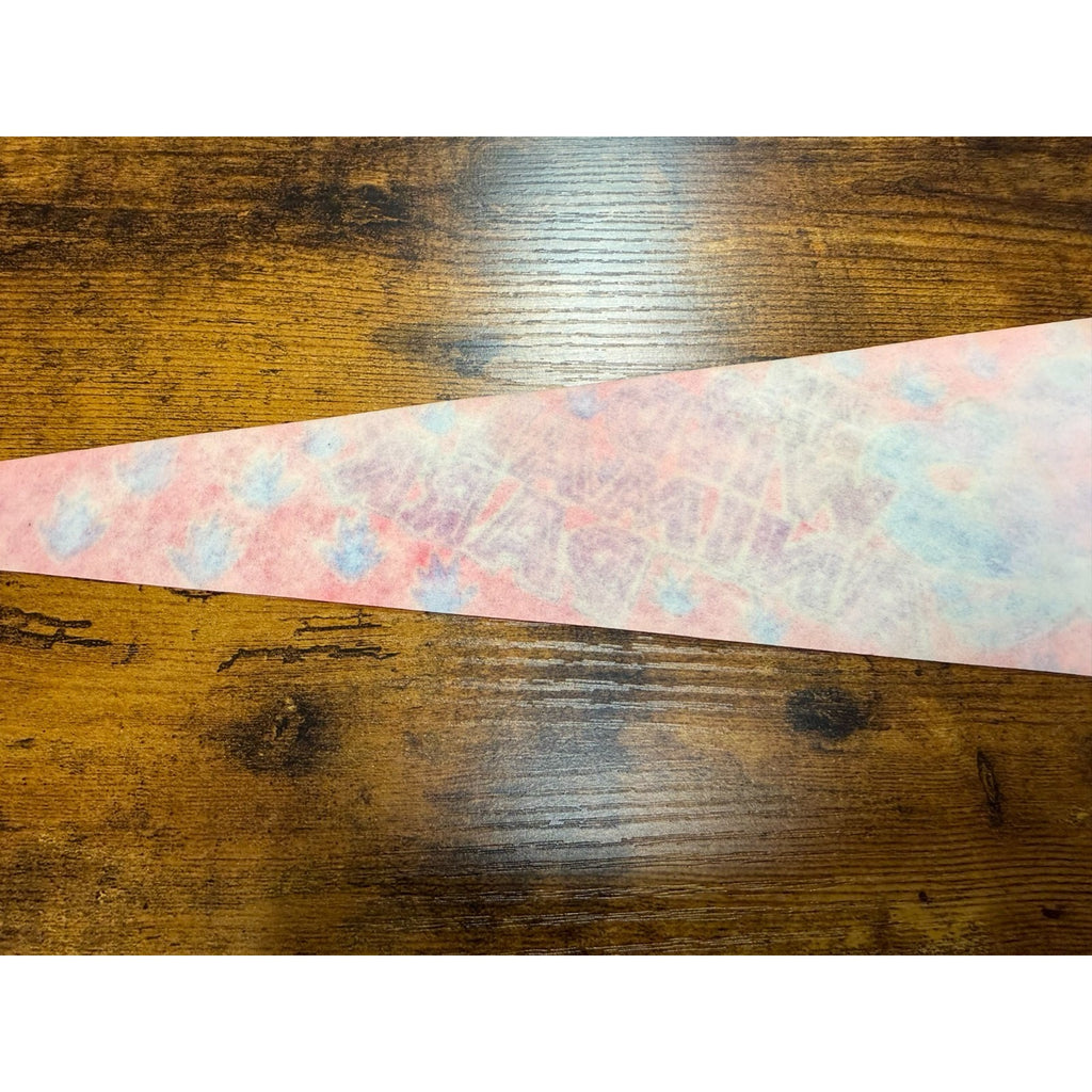 Vintage San Diego Wild Animal Park pennant