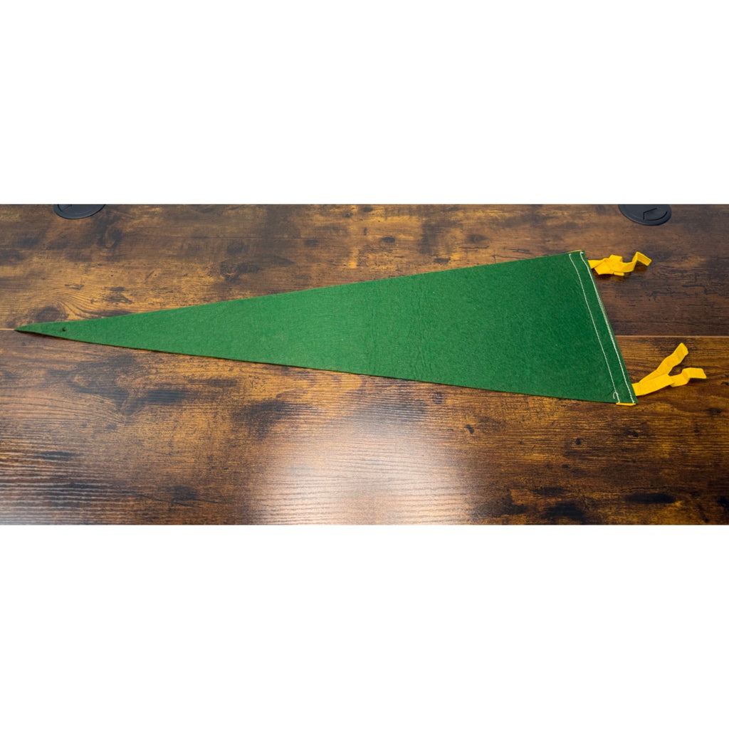 Vintage O’hare Airport Chicago Felt Pennant With Airplane Illustration