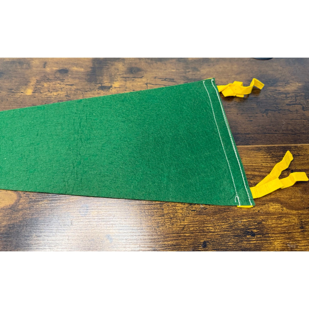 Vintage O’hare Airport Chicago Felt Pennant With Airplane Illustration