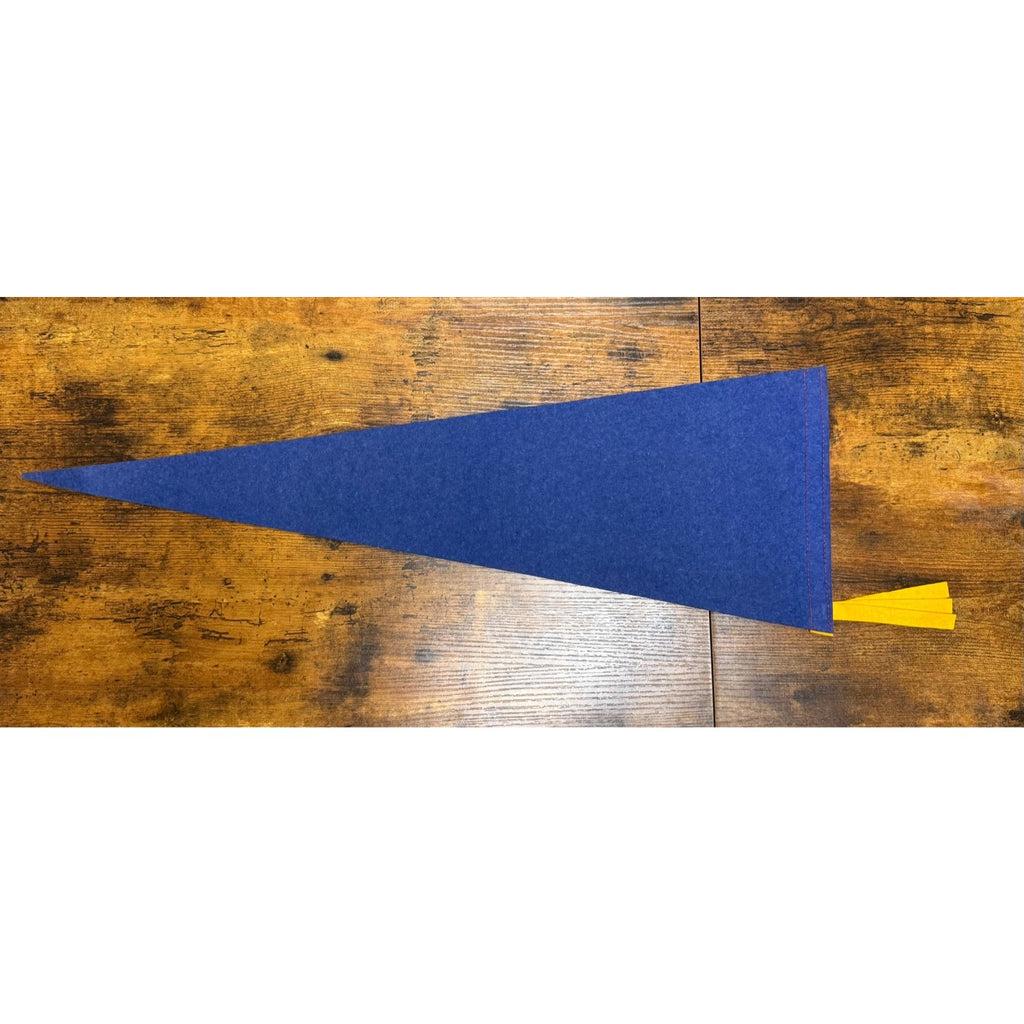 Vintage Felt Pennant Williamsburg, VA. Flag Royal Governors Palace Virginia