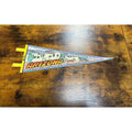 Vintage Arizona pennant