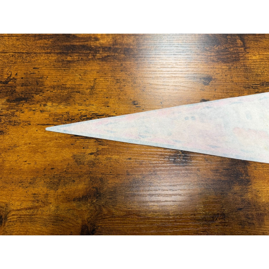 Vintage Arizona pennant