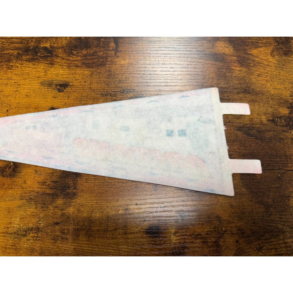 Vintage Arizona pennant