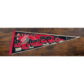 Portland Trail Blazers 1995 NBA Licensed Felt Pennant By Tag Express