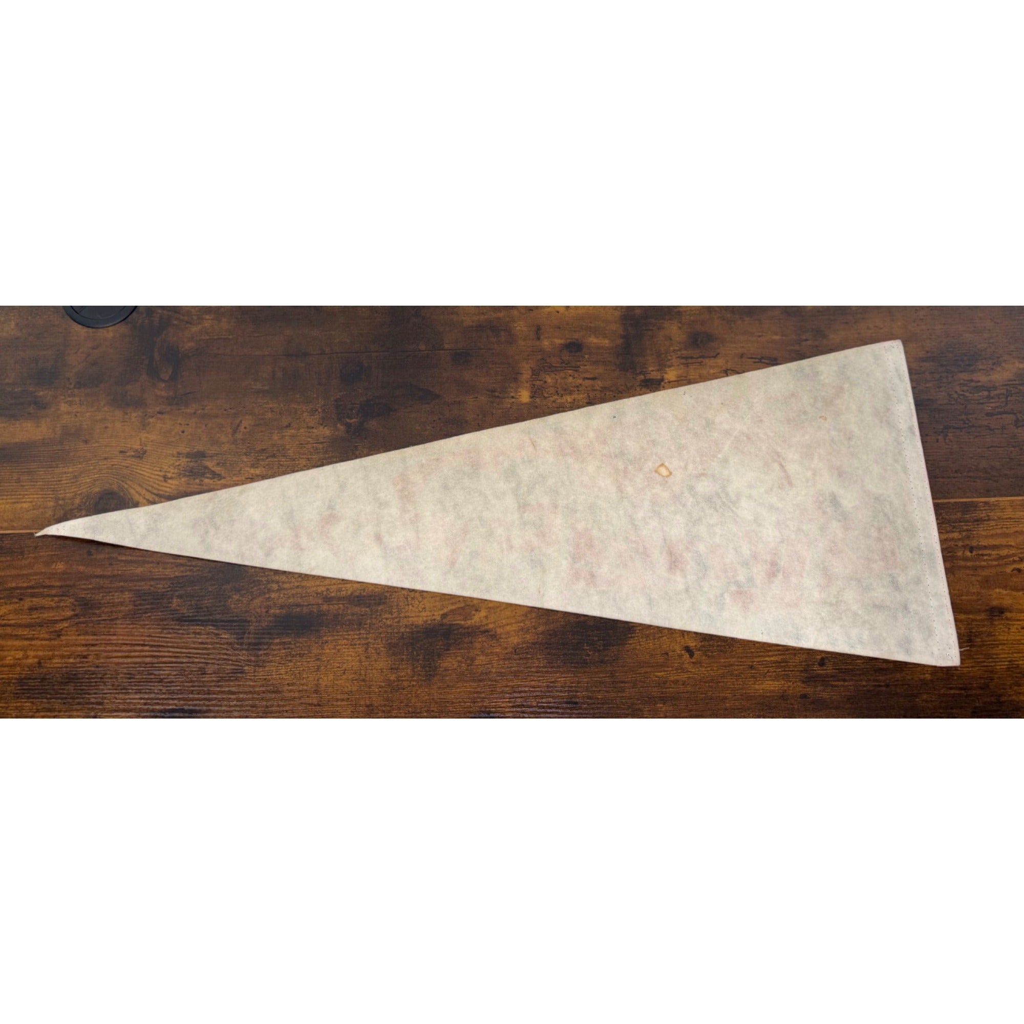 Portland Trail Blazers 1995 NBA Licensed Felt Pennant By Tag Express