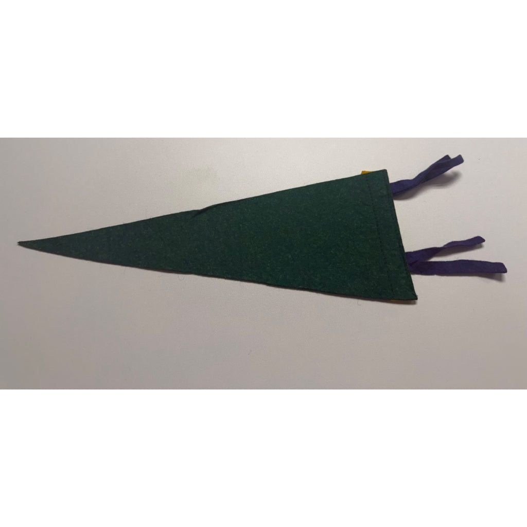 Vintage Moncton N.B. Canada pennant