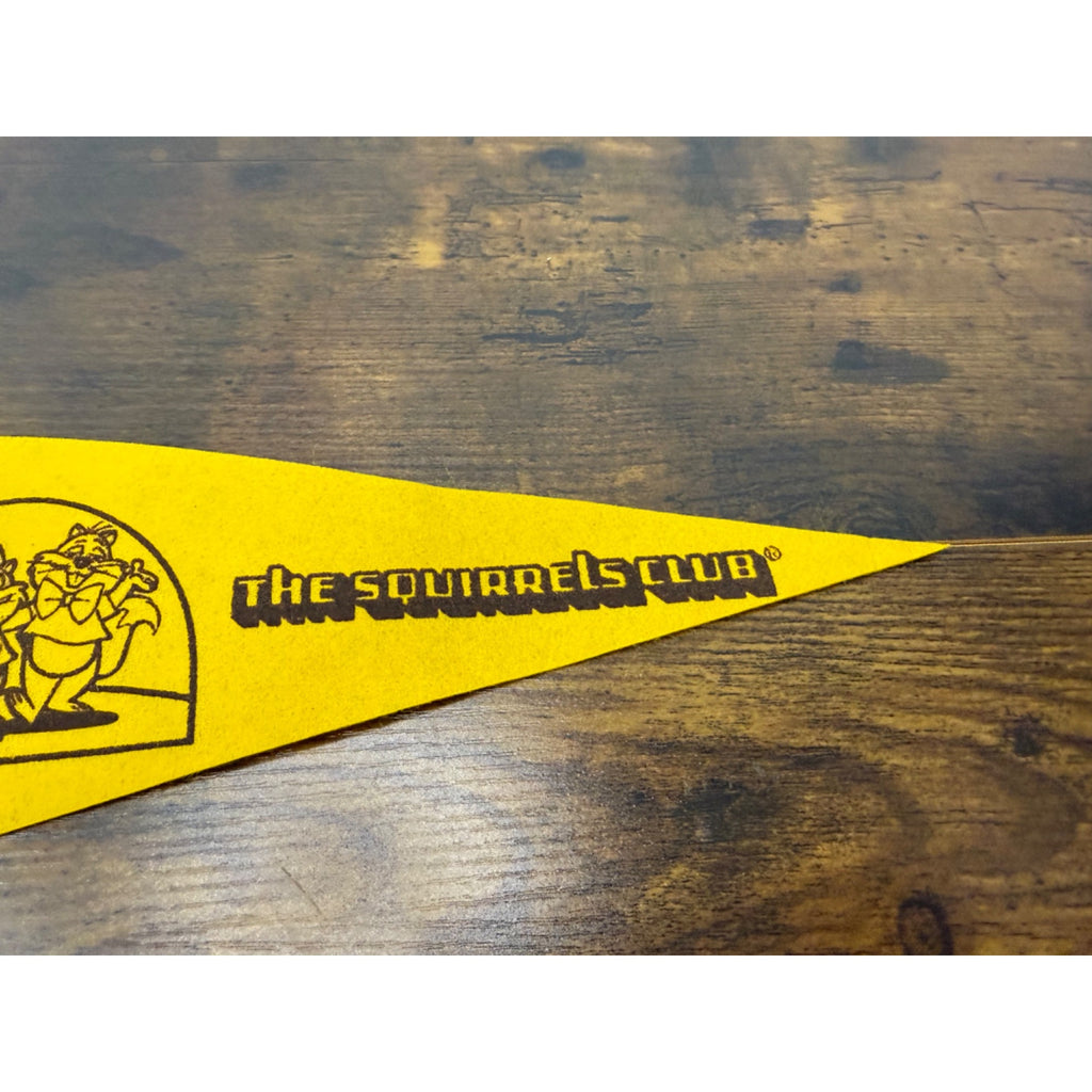 Vintage Felt Pennant With "The Squirrels Club" Cartoon Design In Yellow & Brown