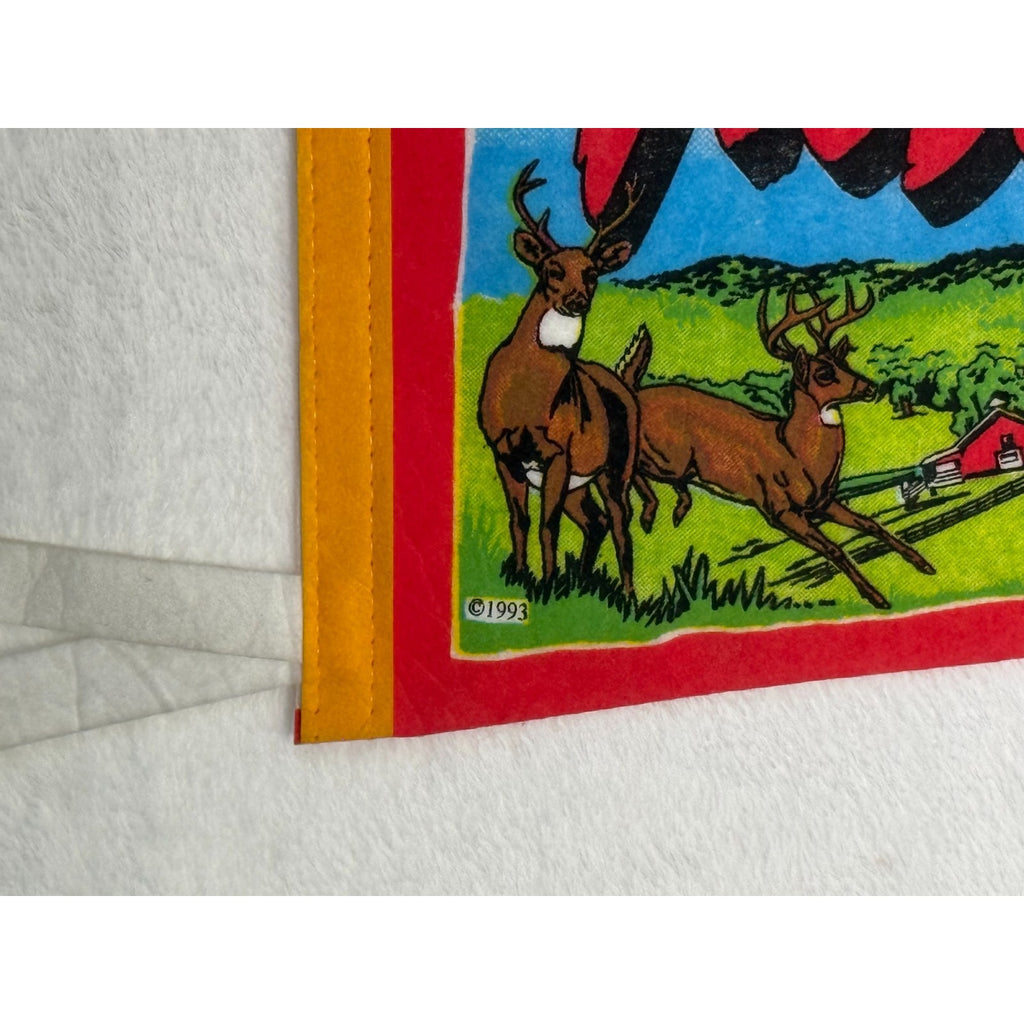 Vintage West Virginia State pennant
