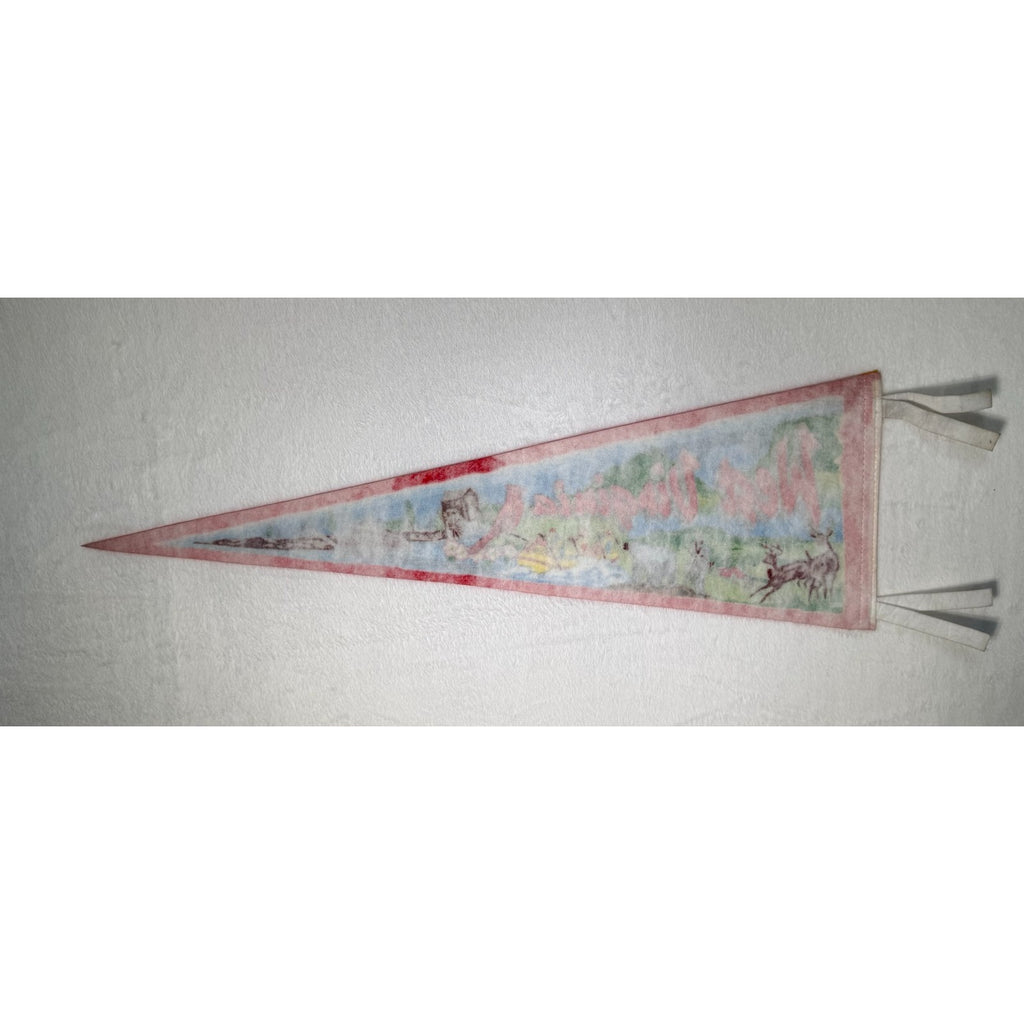 Vintage West Virginia State pennant