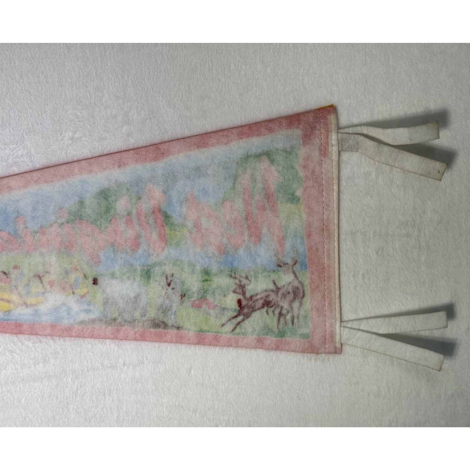 Vintage West Virginia State pennant