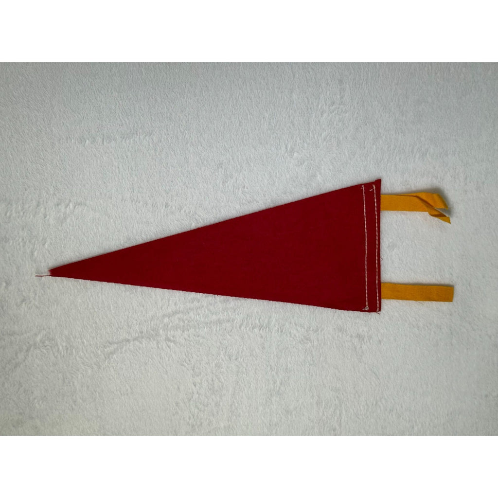 Vintage Old Tucson Famous Movie Location pennant