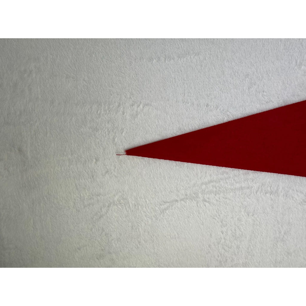 Vintage Old Tucson Famous Movie Location pennant