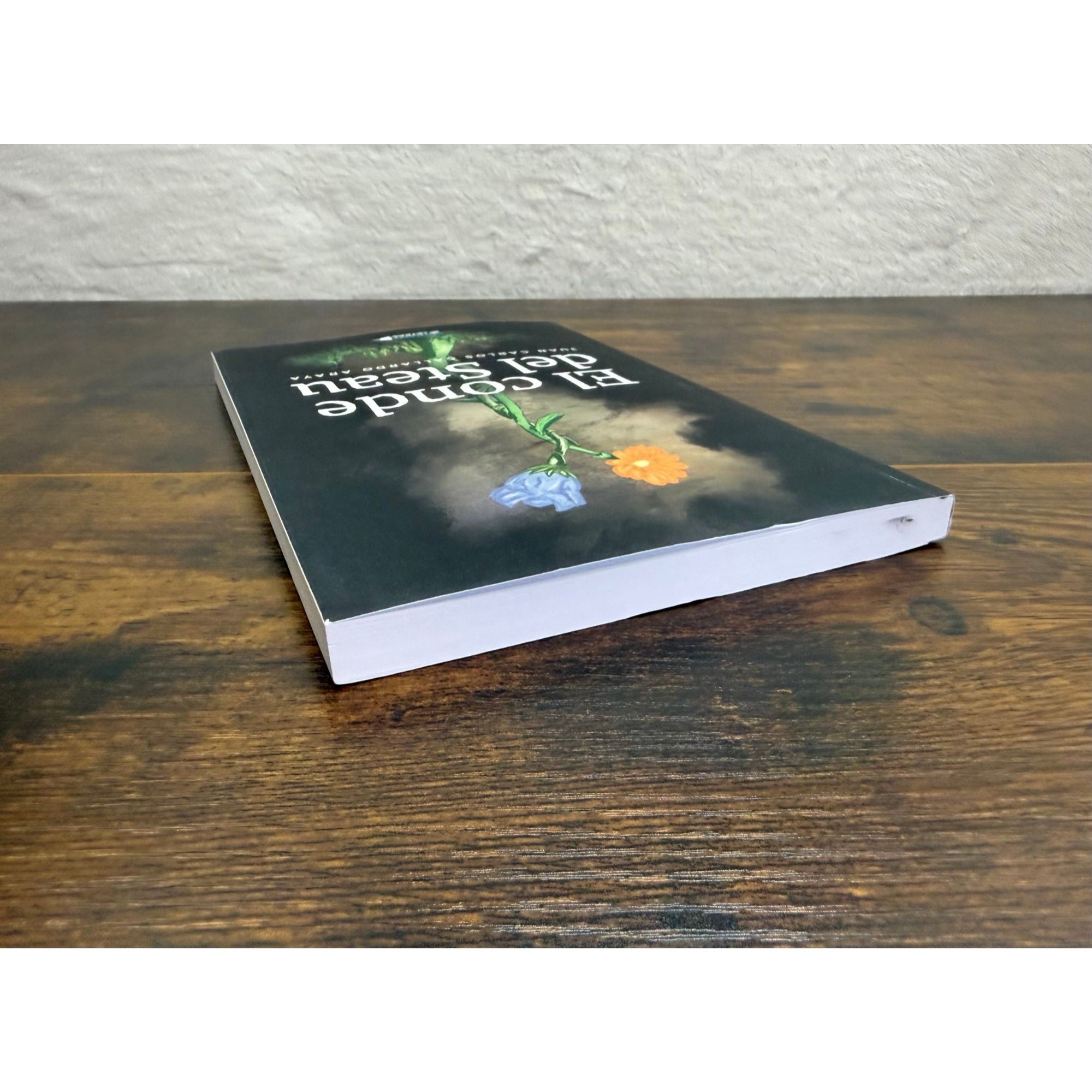 El Conde Del Steau By Juan Carlos Gallardo Araya Paperback Novel Spanish Edition