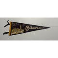 Vtg 1930-40’s Felt Pennant Canadian House of Parliament Ottawa