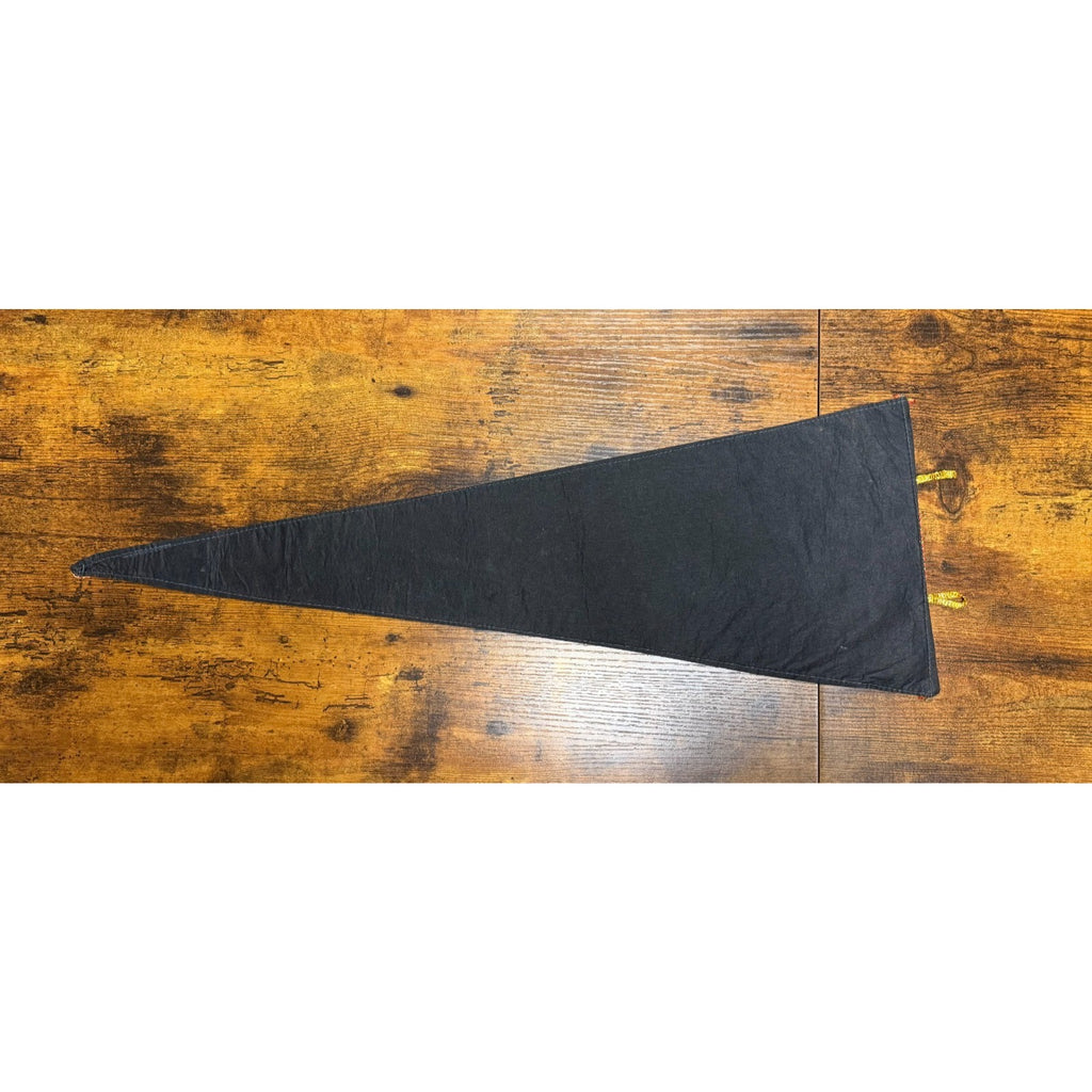 Vintage Universal Studios, California pennant