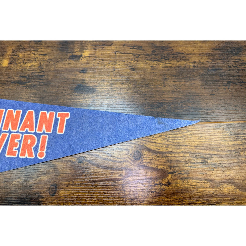 New York Mets 25th Anniversary Pennant Fever Vintage Team Photo 24 inches
