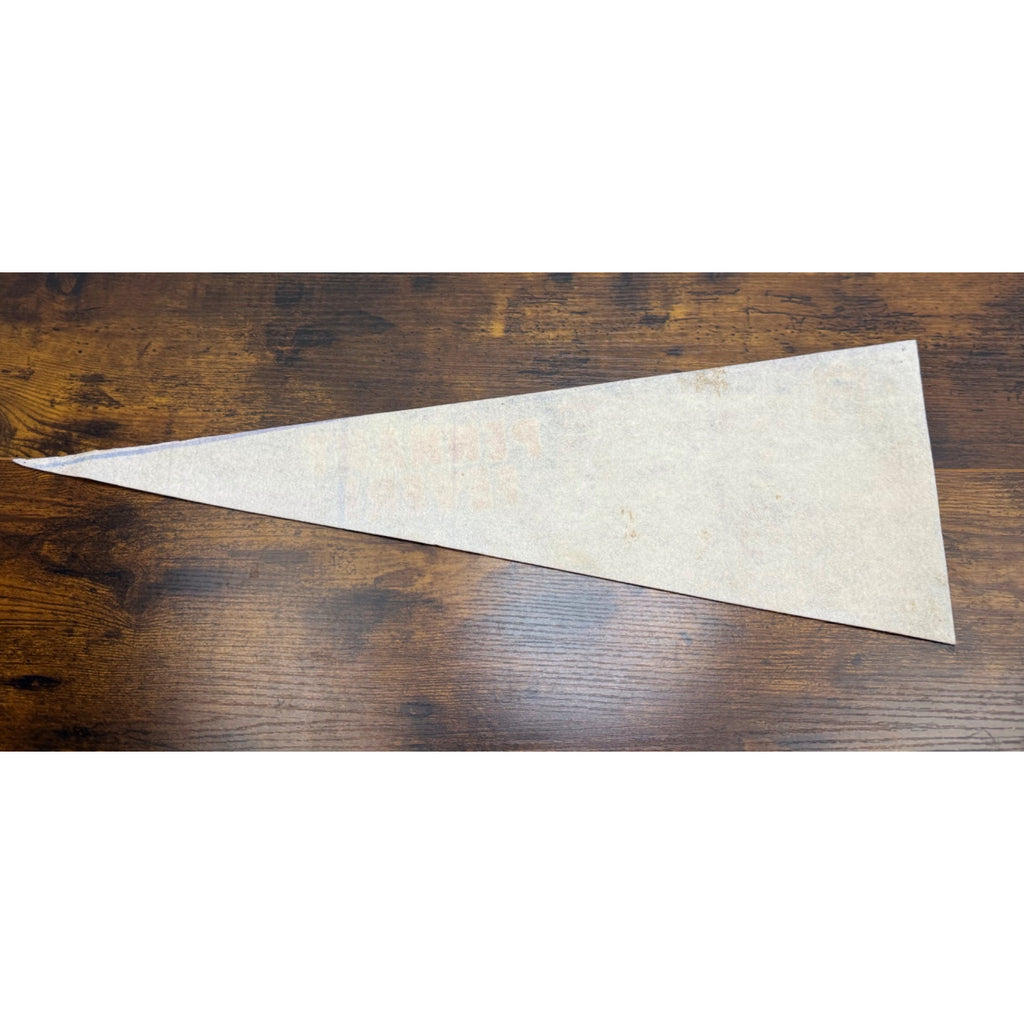 New York Mets 25th Anniversary Pennant Fever Vintage Team Photo 24 inches