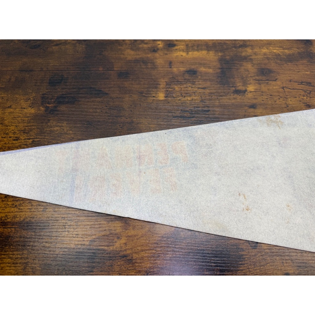New York Mets 25th Anniversary Pennant Fever Vintage Team Photo 24 inches
