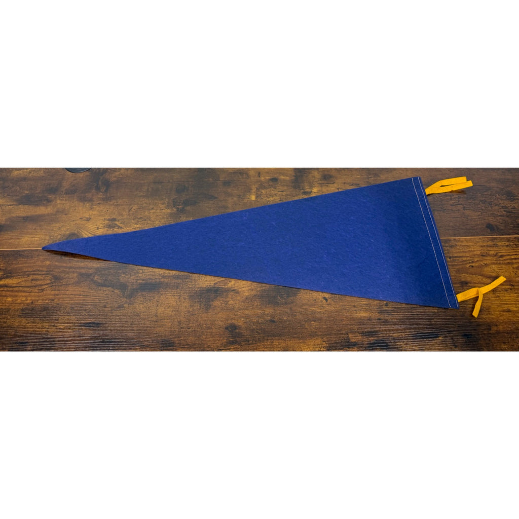Vintage San Diego Chargers NFL Felt Pennant Helmet Design Sports Memorabilia