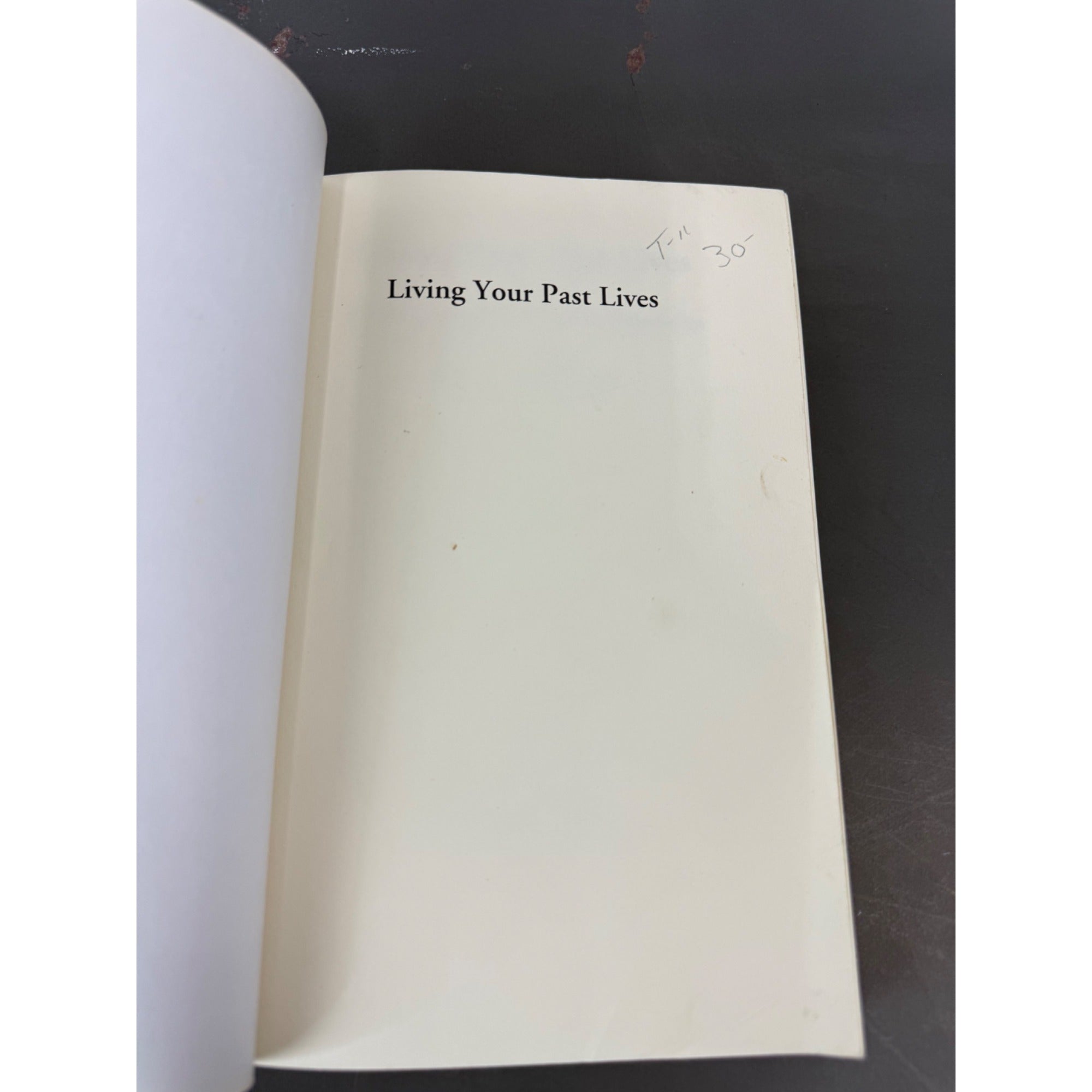 Living Your Past Lives: The Psychology Of Past-Life Regression By Karl Schlotterbeck