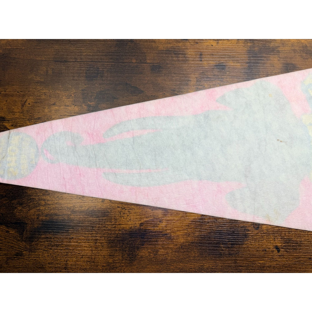 Ringling Bros. Barnum & Bailey Circus Elephant Pennant Vintage Pink & Blue Felt