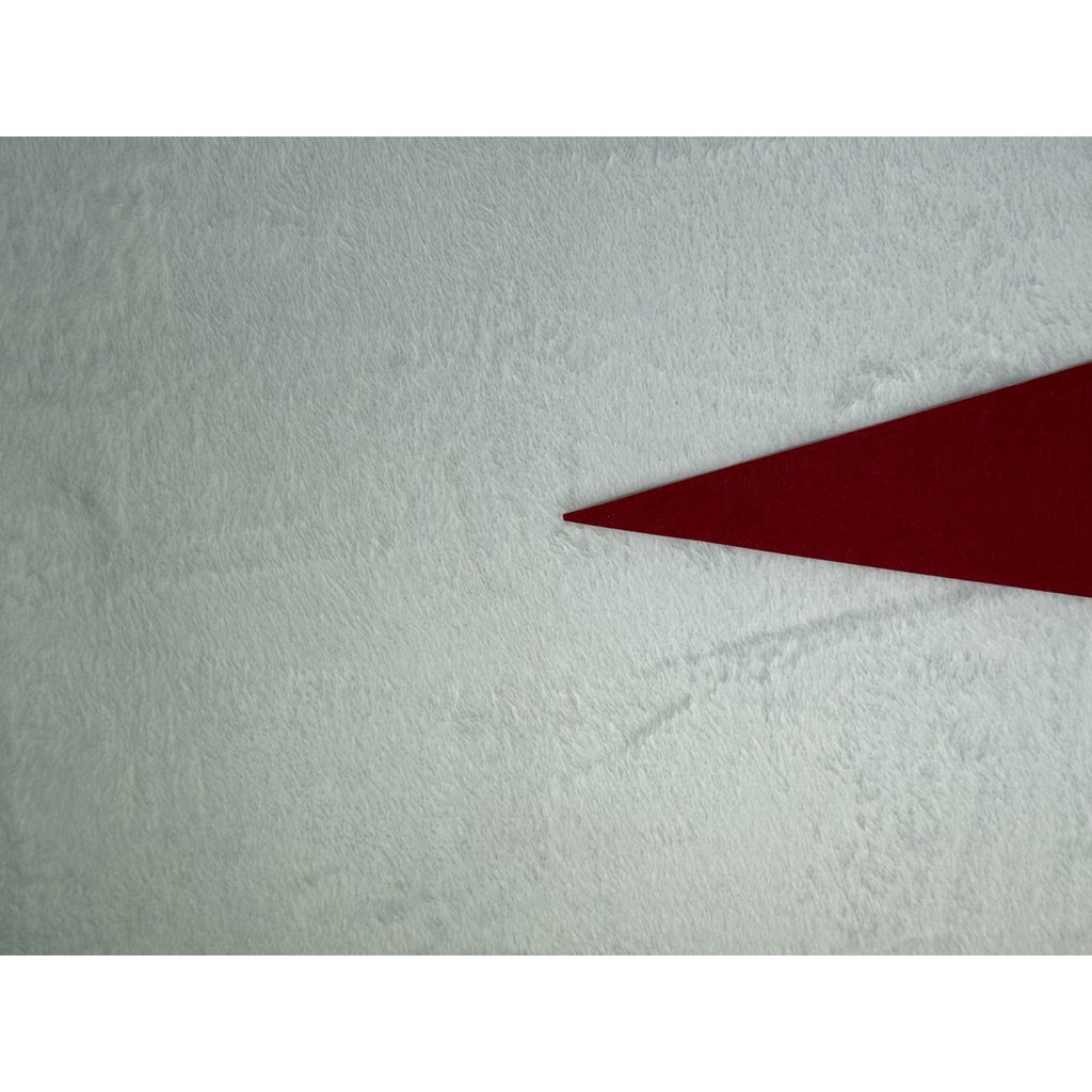 Vintage Air Force Museum Wright-Patterson AFB Ohio mini pennant