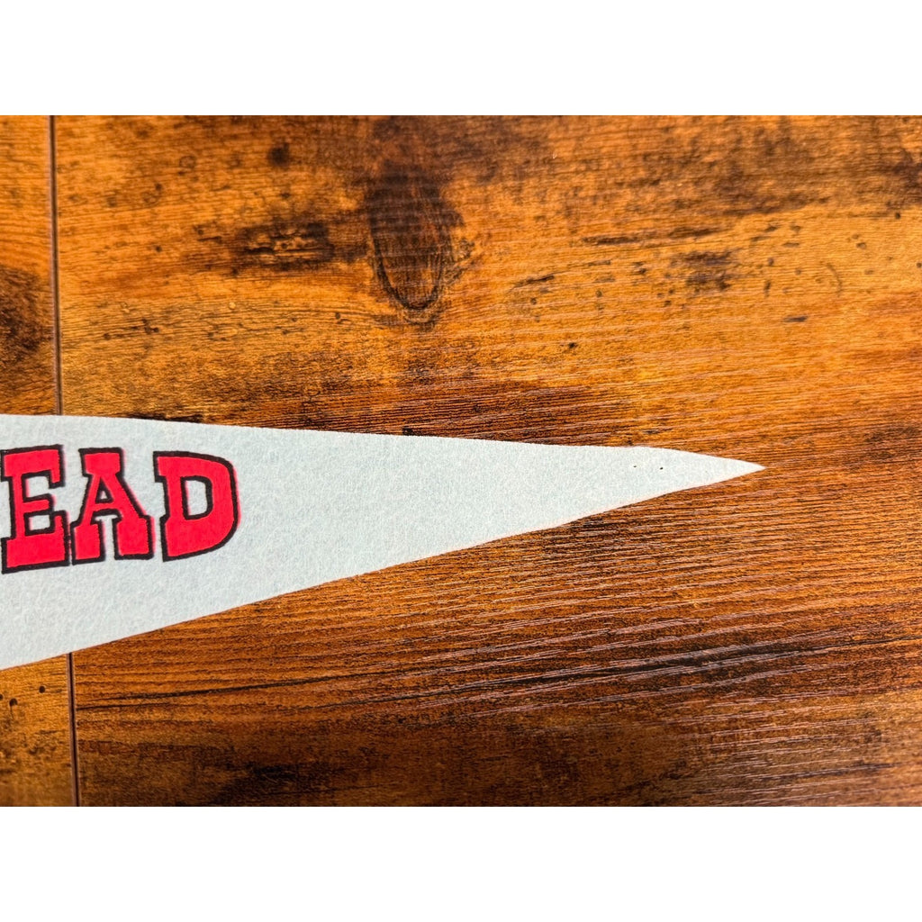 Vintage Nags Head, North Caroloina pennant