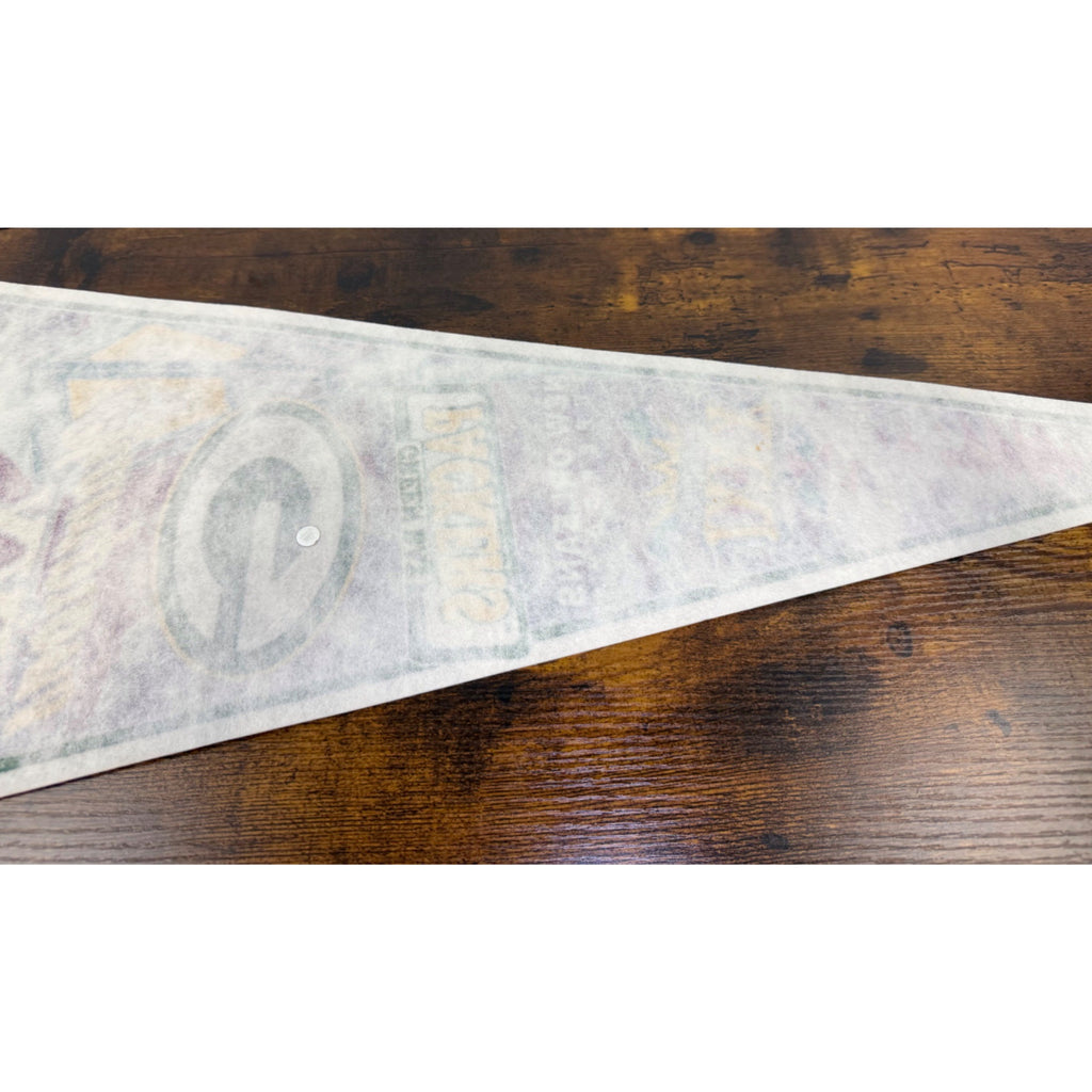 Super Bowl XXXI Green Bay Packers Champions Pennant 1997 New Orleans Superdome