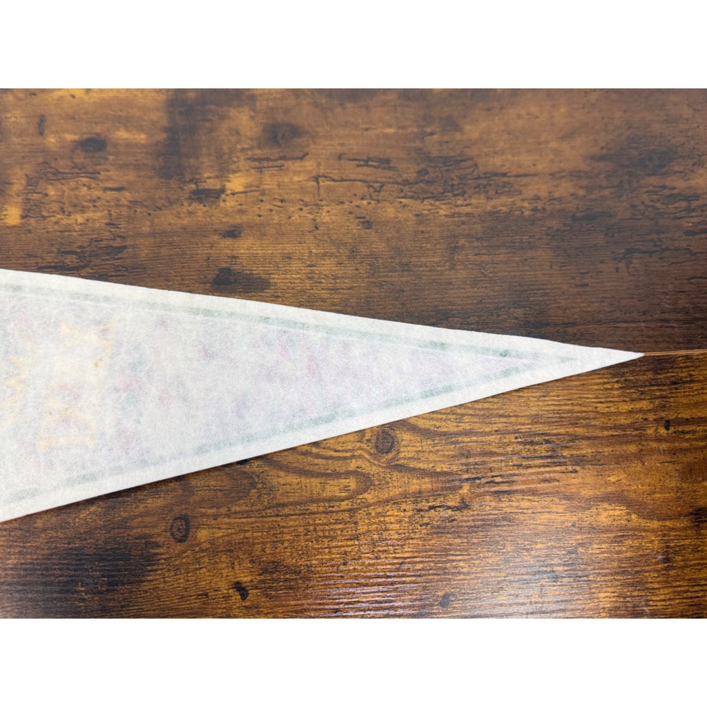 Super Bowl XXXI Green Bay Packers Champions Pennant 1997 New Orleans Superdome
