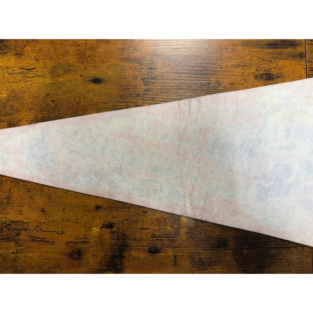 Vintage Smurfs alive in Ice Capades pennant