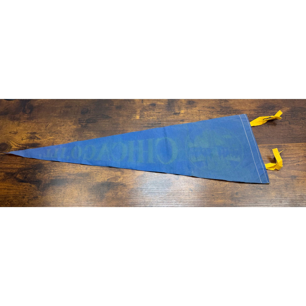 Vintage Chicago Illinois Felt Pennant With The Old Water Tower Design - 26 inches