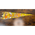 Vintage Georgia Souvenir Pennant With Peach State Graphics & State Seal 1977