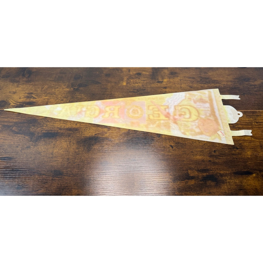 Vintage Georgia Souvenir Pennant With Peach State Graphics & State Seal 1977