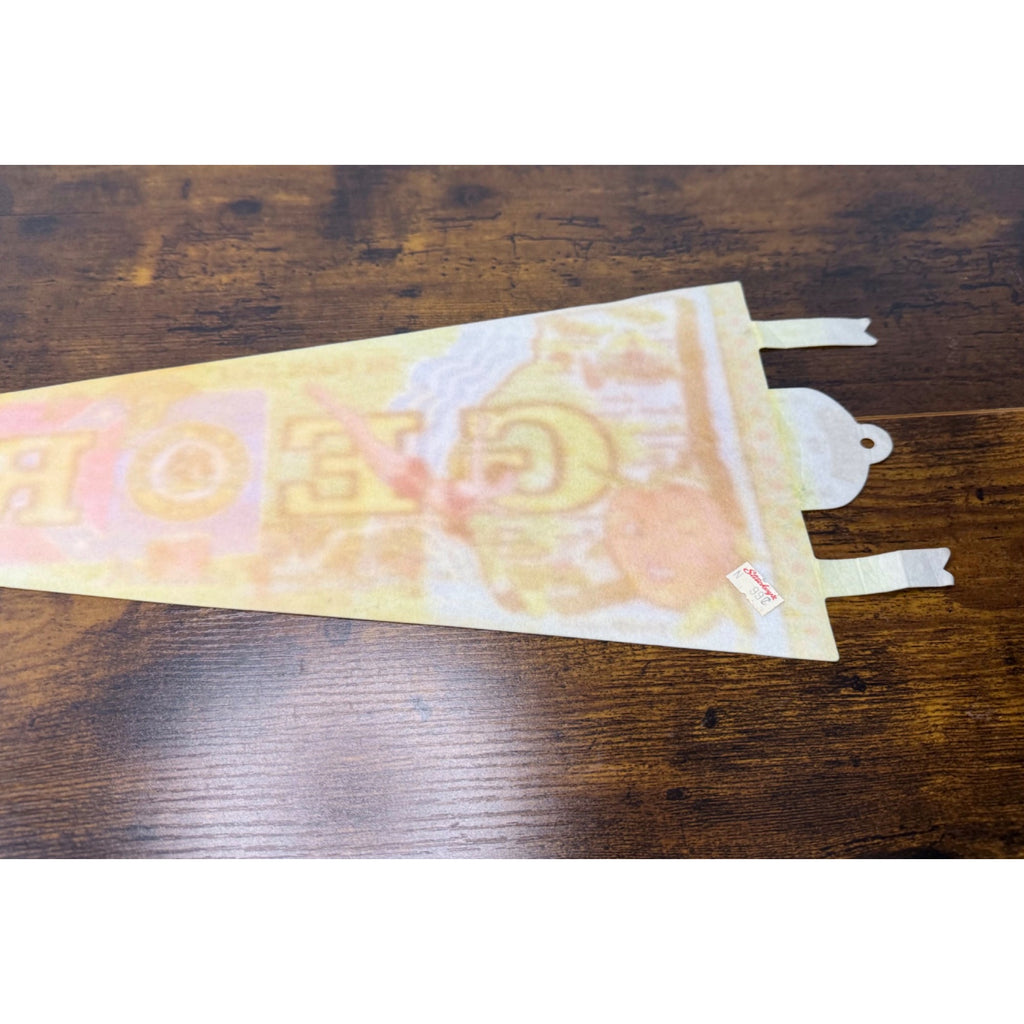Vintage Georgia Souvenir Pennant With Peach State Graphics & State Seal 1977
