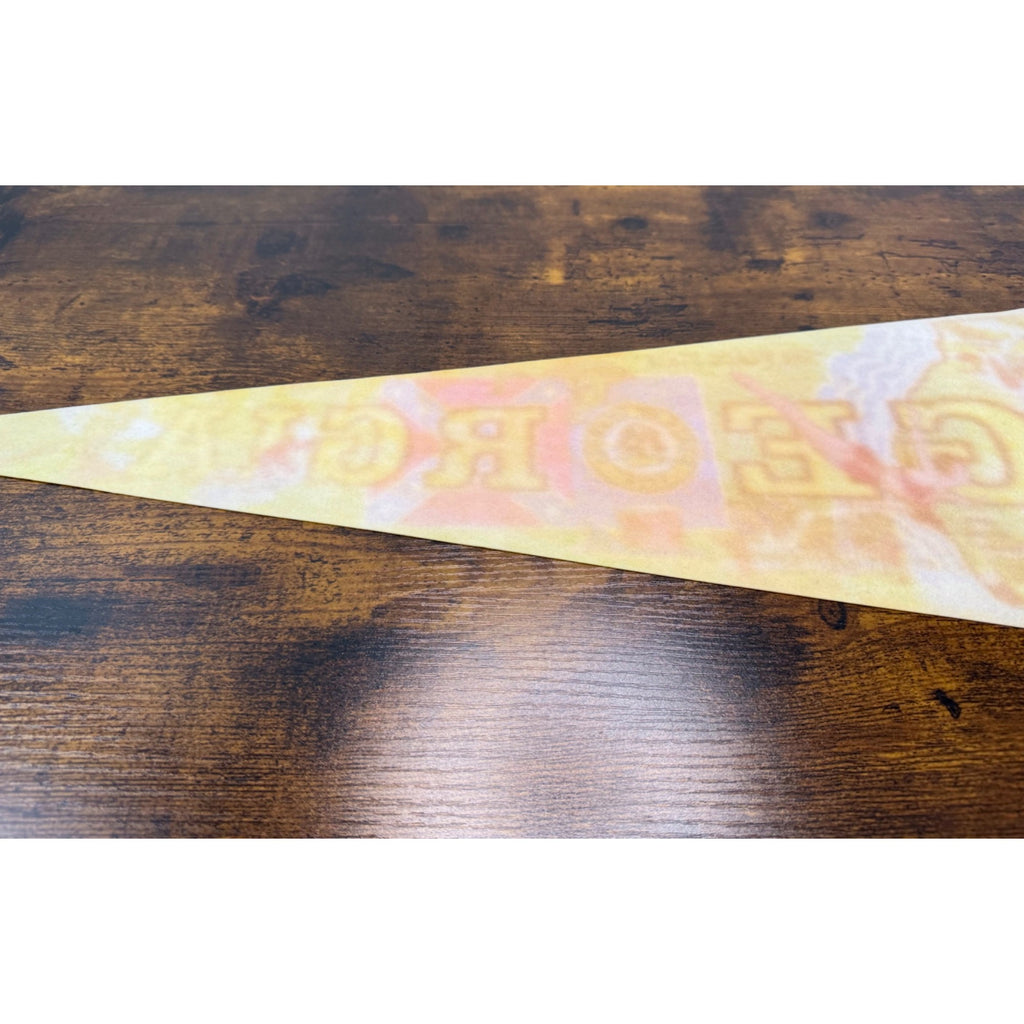 Vintage Georgia Souvenir Pennant With Peach State Graphics & State Seal 1977