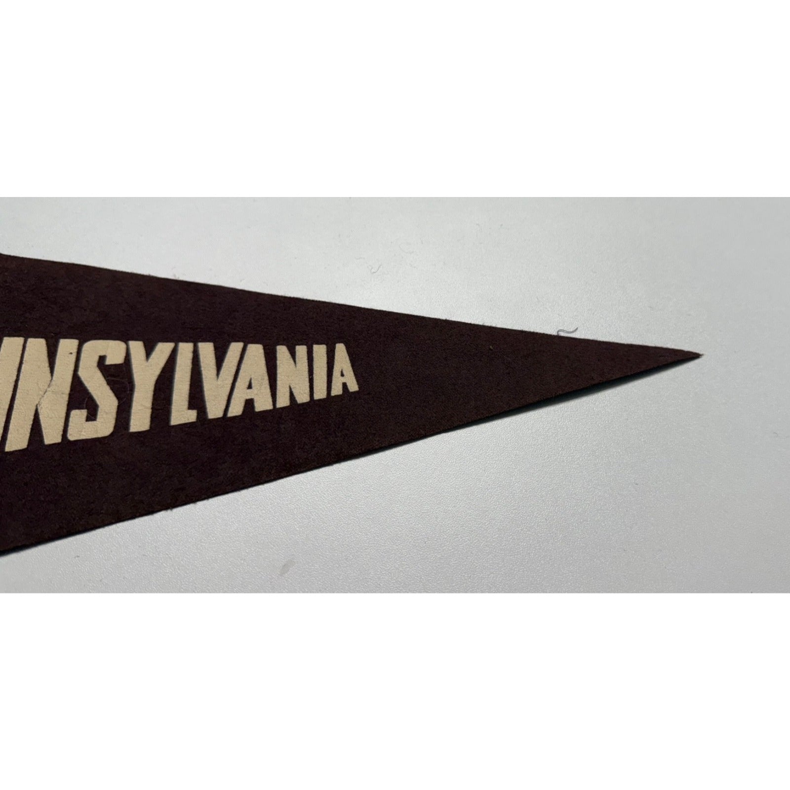 Vintage Pennsylvania "The Quaker State" pennant