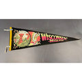 Vintage Wisconsin Dells, Wisconsin pennant damaged