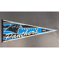 Vintage 90’s NFL Carolina Panthers pennant