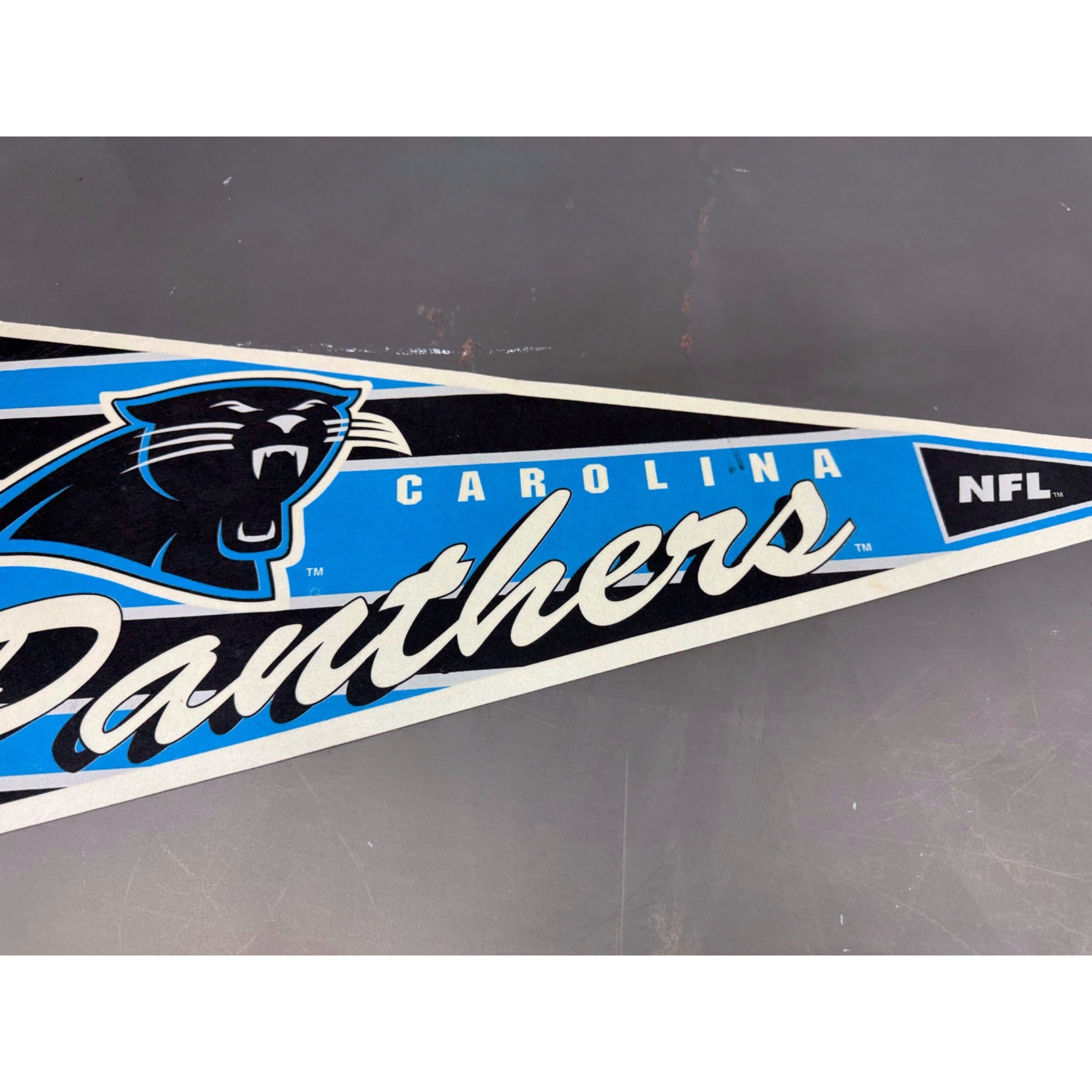 Vintage 90’s NFL Carolina Panthers pennant