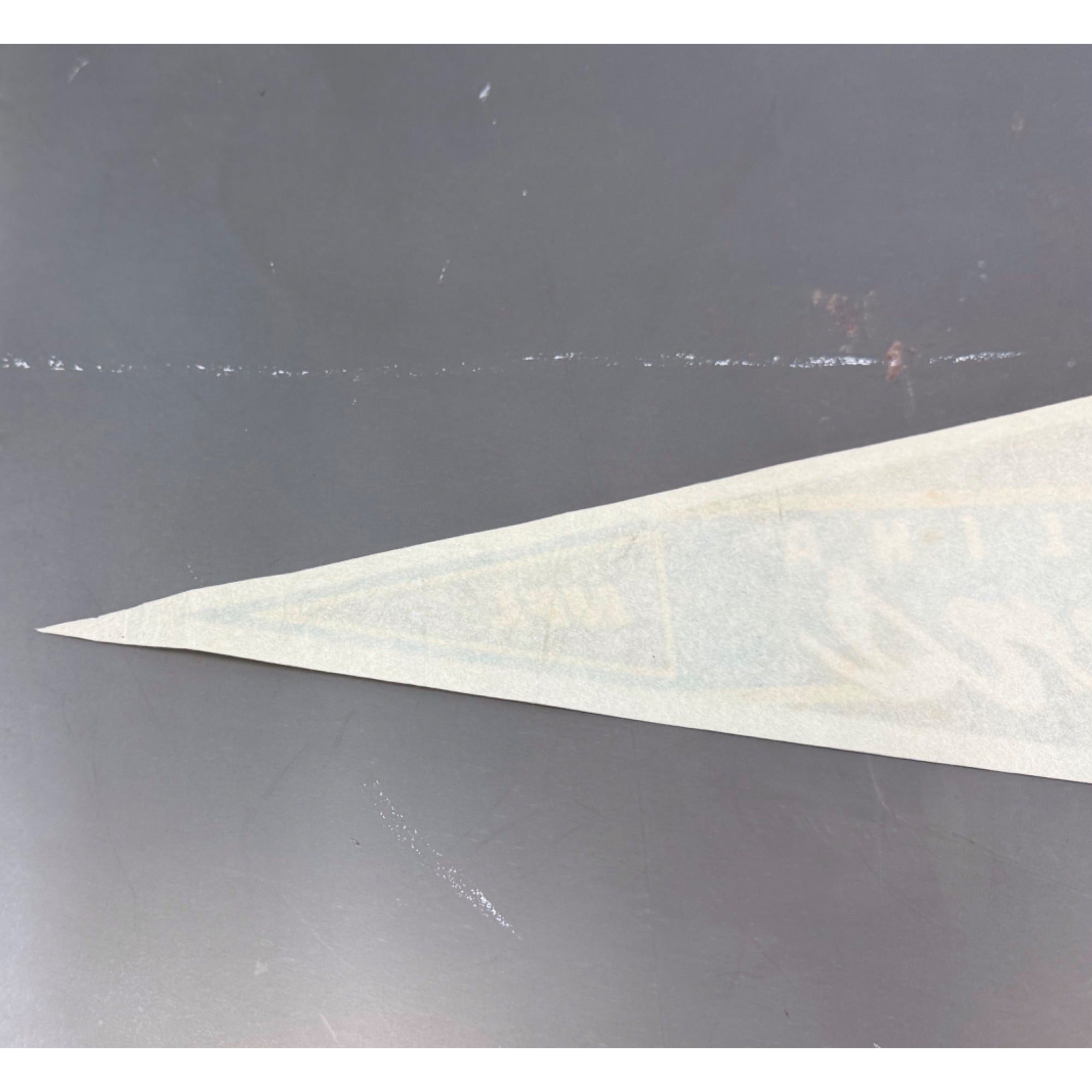 Vintage 90’s NFL Carolina Panthers pennant