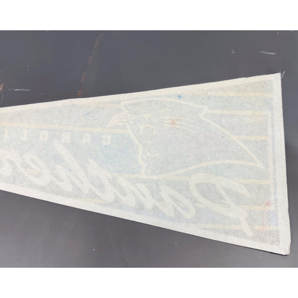 Vintage 90’s NFL Carolina Panthers pennant