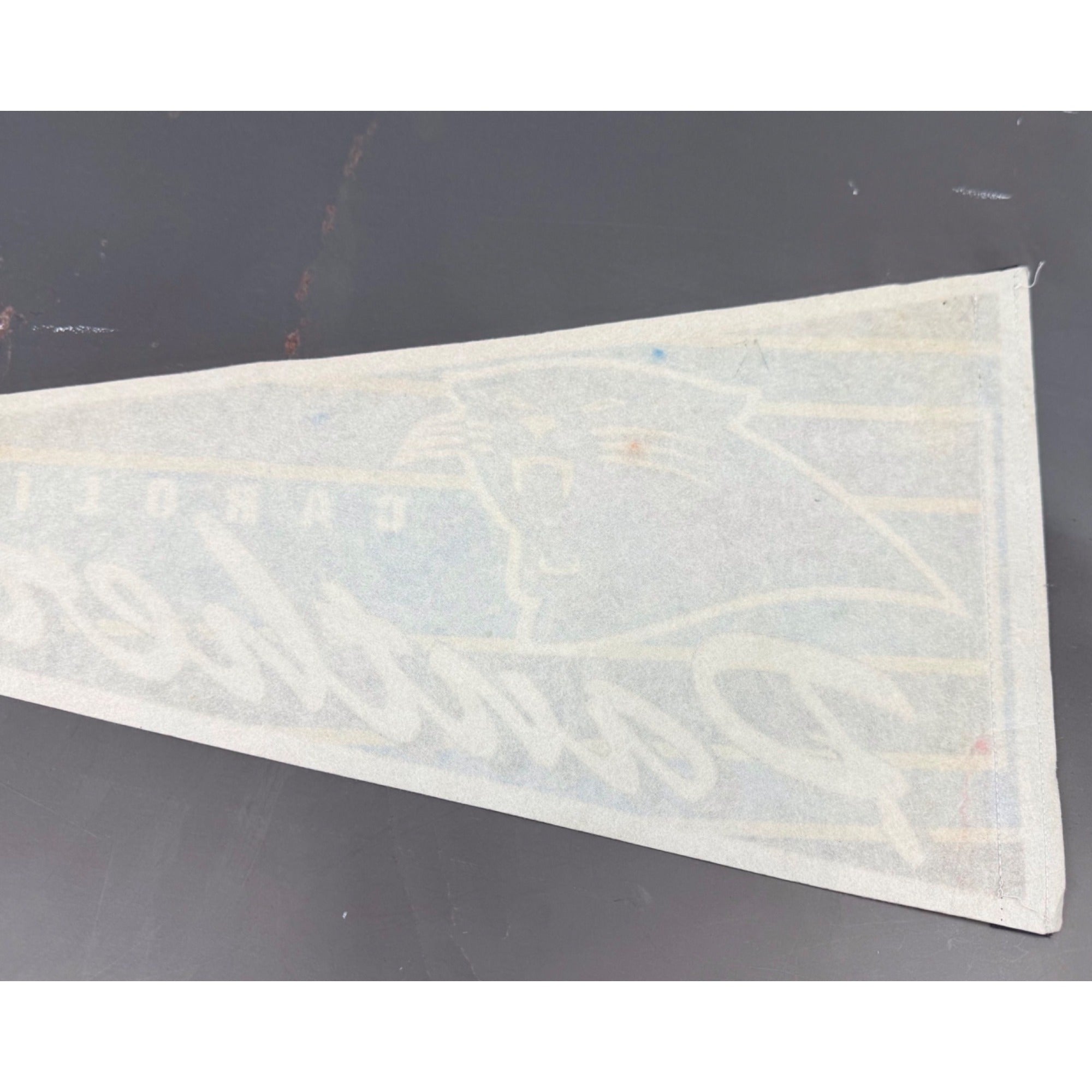 Vintage 90’s NFL Carolina Panthers pennant