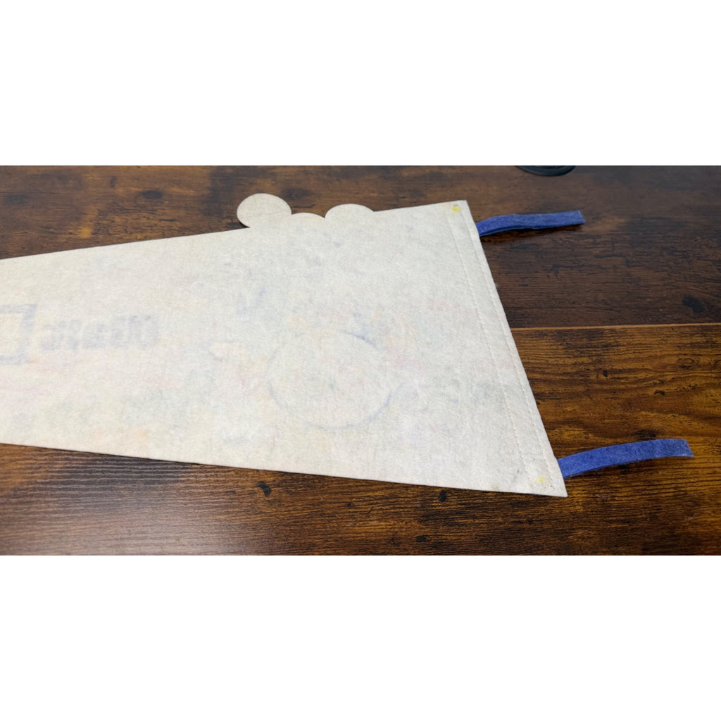 Vintage Walt Disney World 25th Anniversary Pennant With Classic Characters