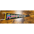 Vintage Pedro's South of the Border pennant