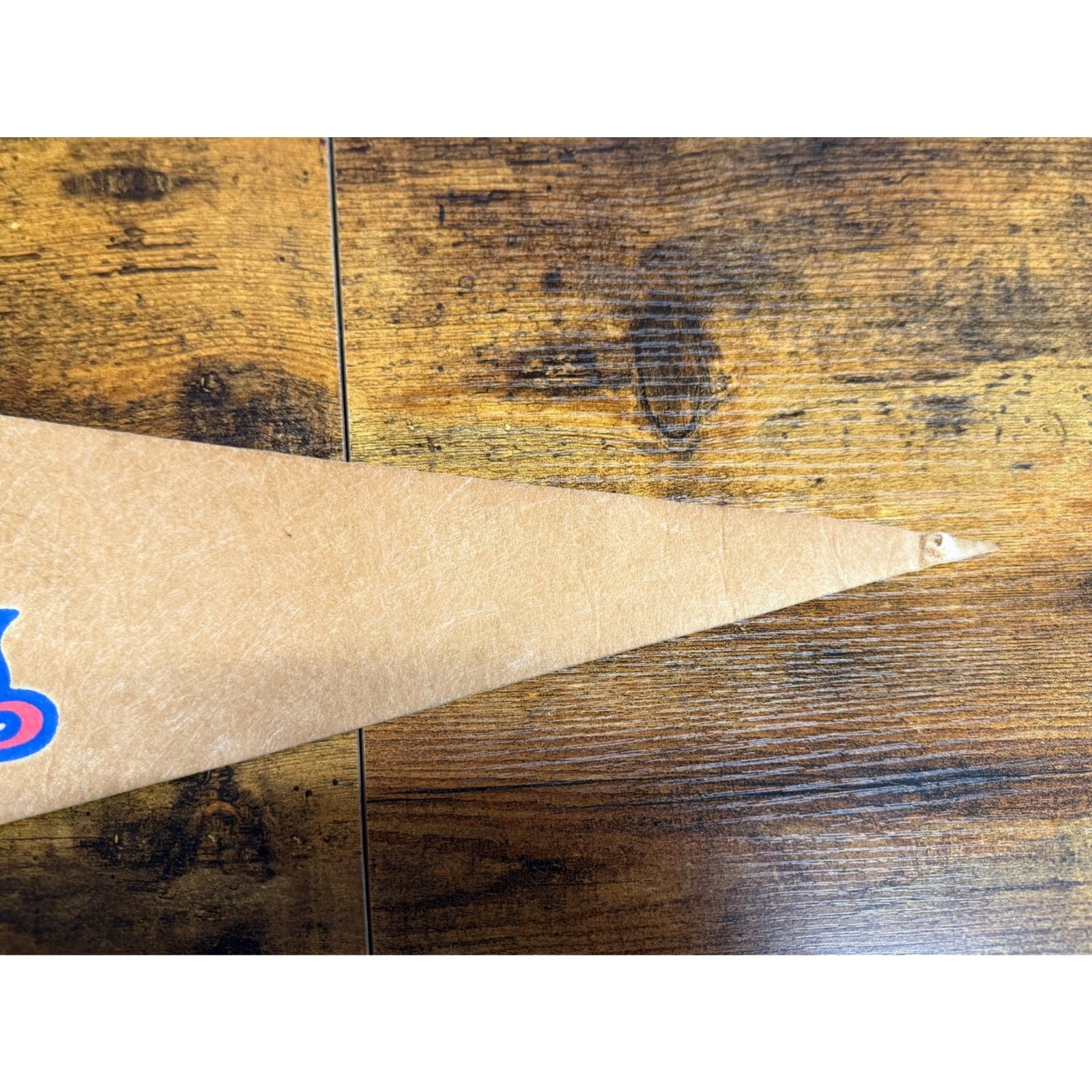 Vintage 1969 MLB Minnesota Twins pennant