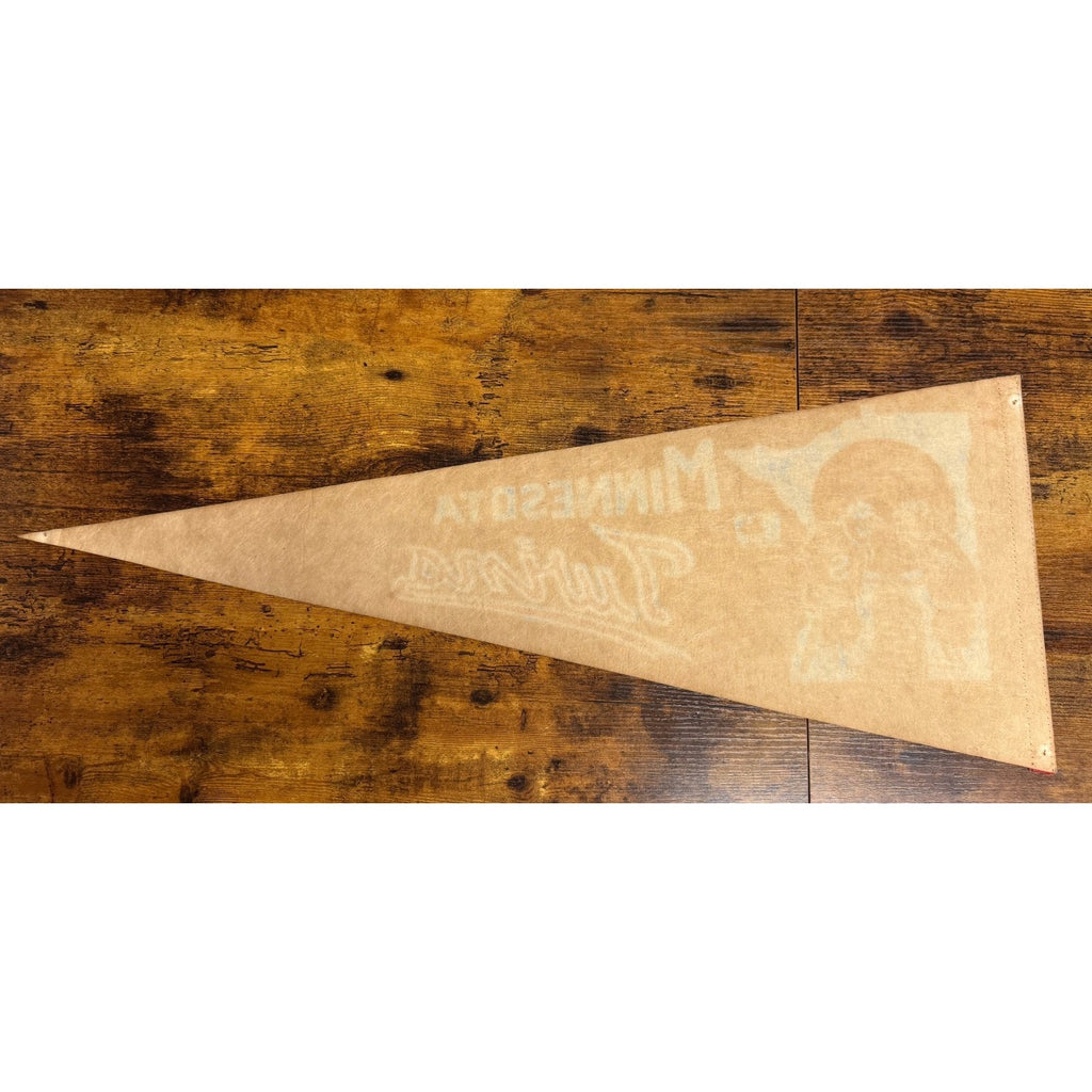 Vintage 1969 MLB Minnesota Twins pennant