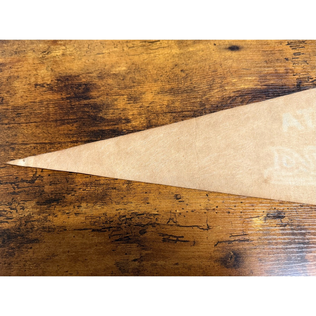 Vintage 1969 MLB Minnesota Twins pennant