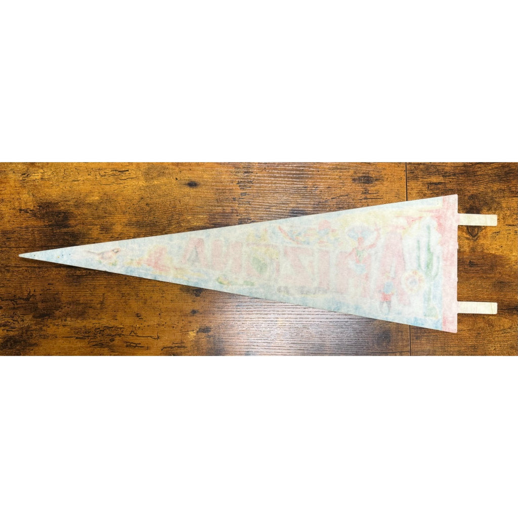 Vintage Arizona pennant