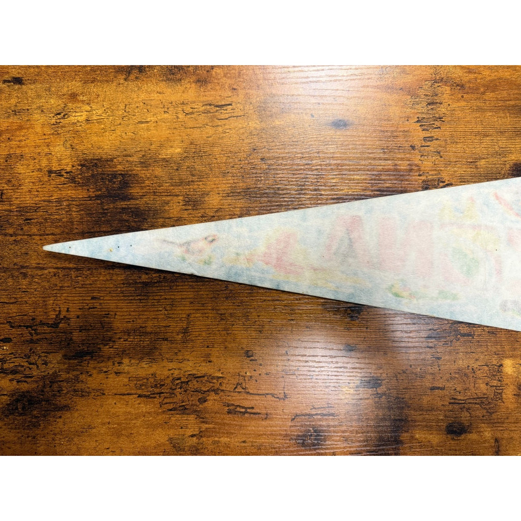 Vintage Arizona pennant