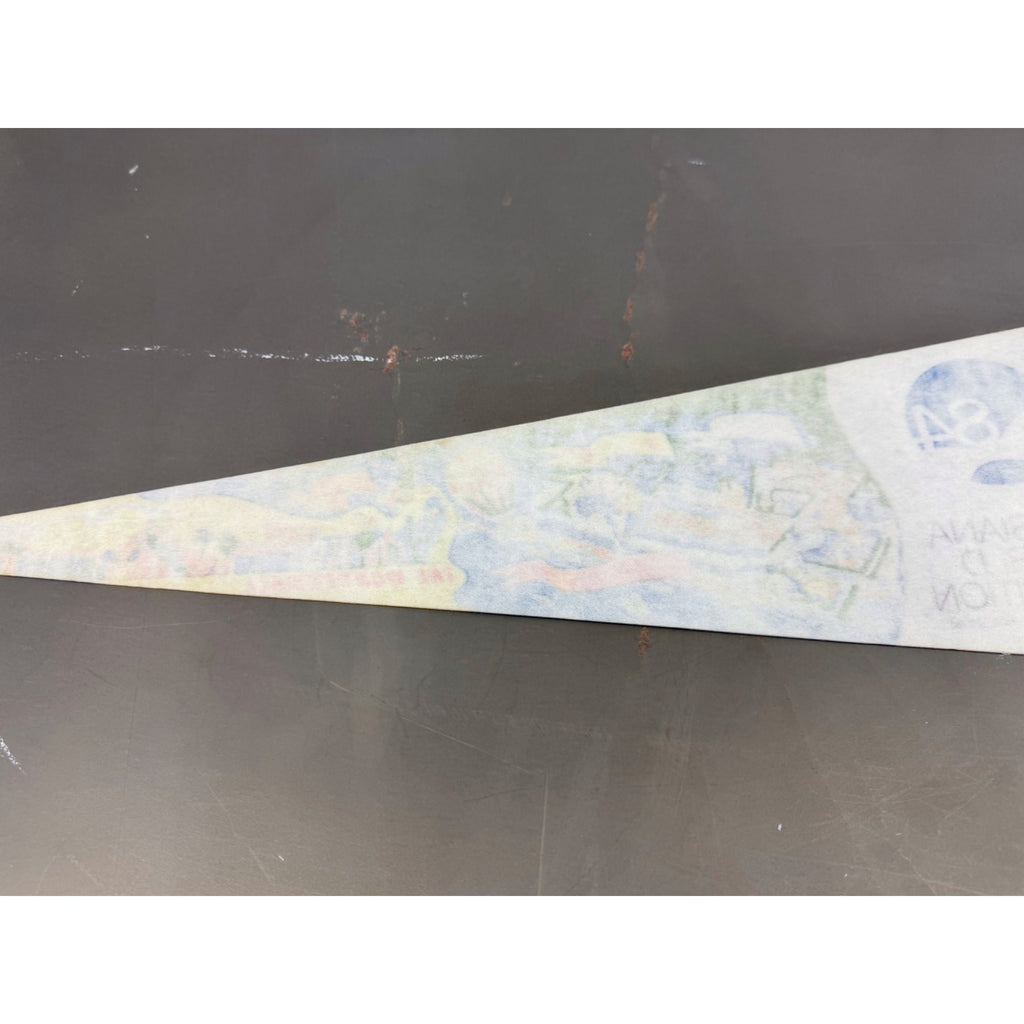Vintage 1984 Louisiana World Exposition pennant